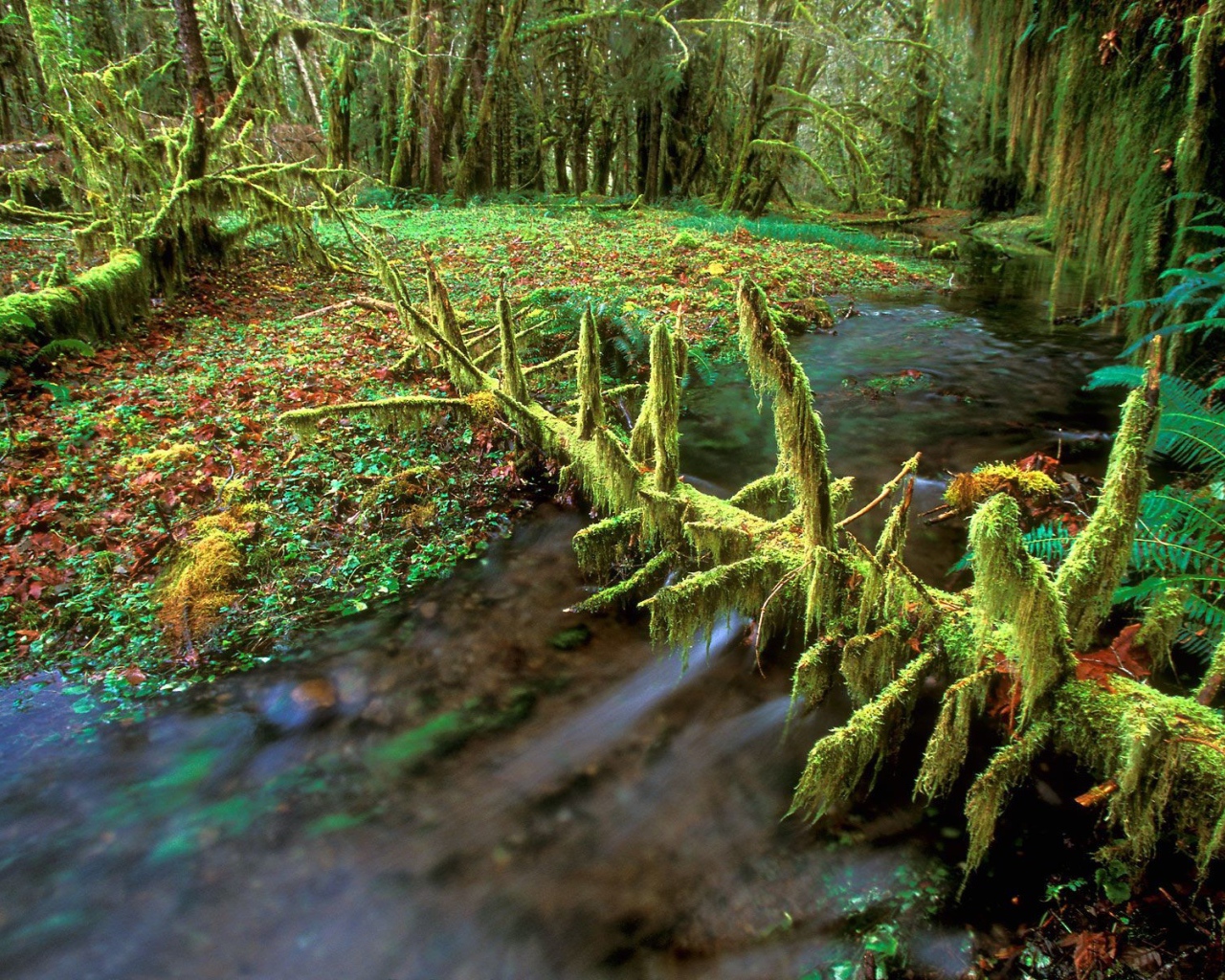 Очень дикая природа