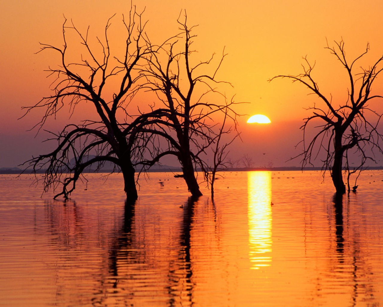 Весеннее половодье в Калифорнии