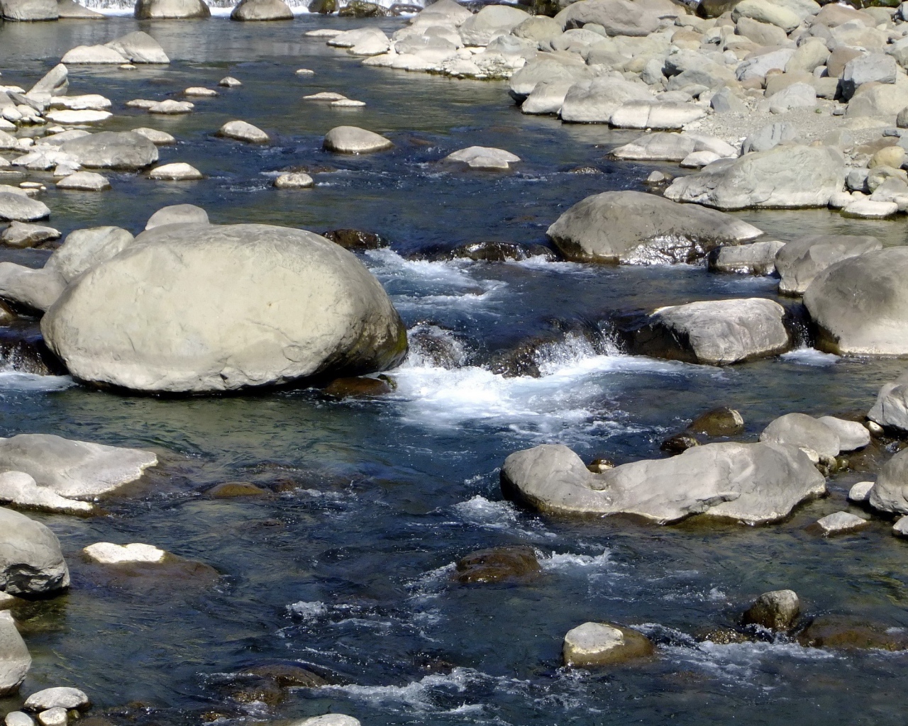 Каменистая речка