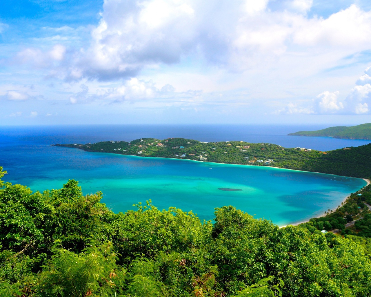 Зеленое побережье океана