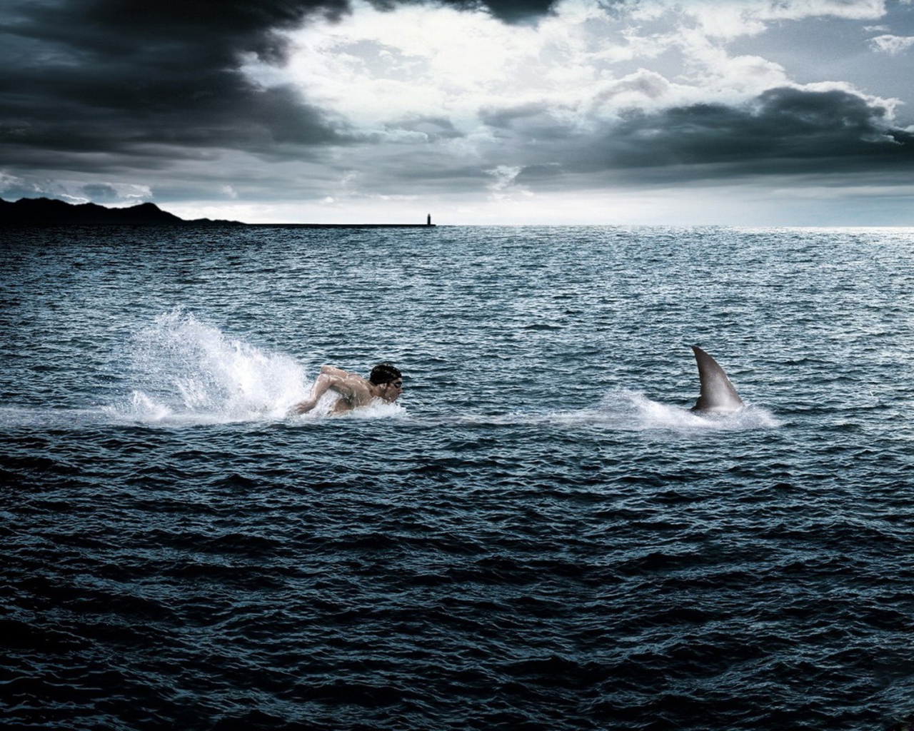 Человек плывет за акулой