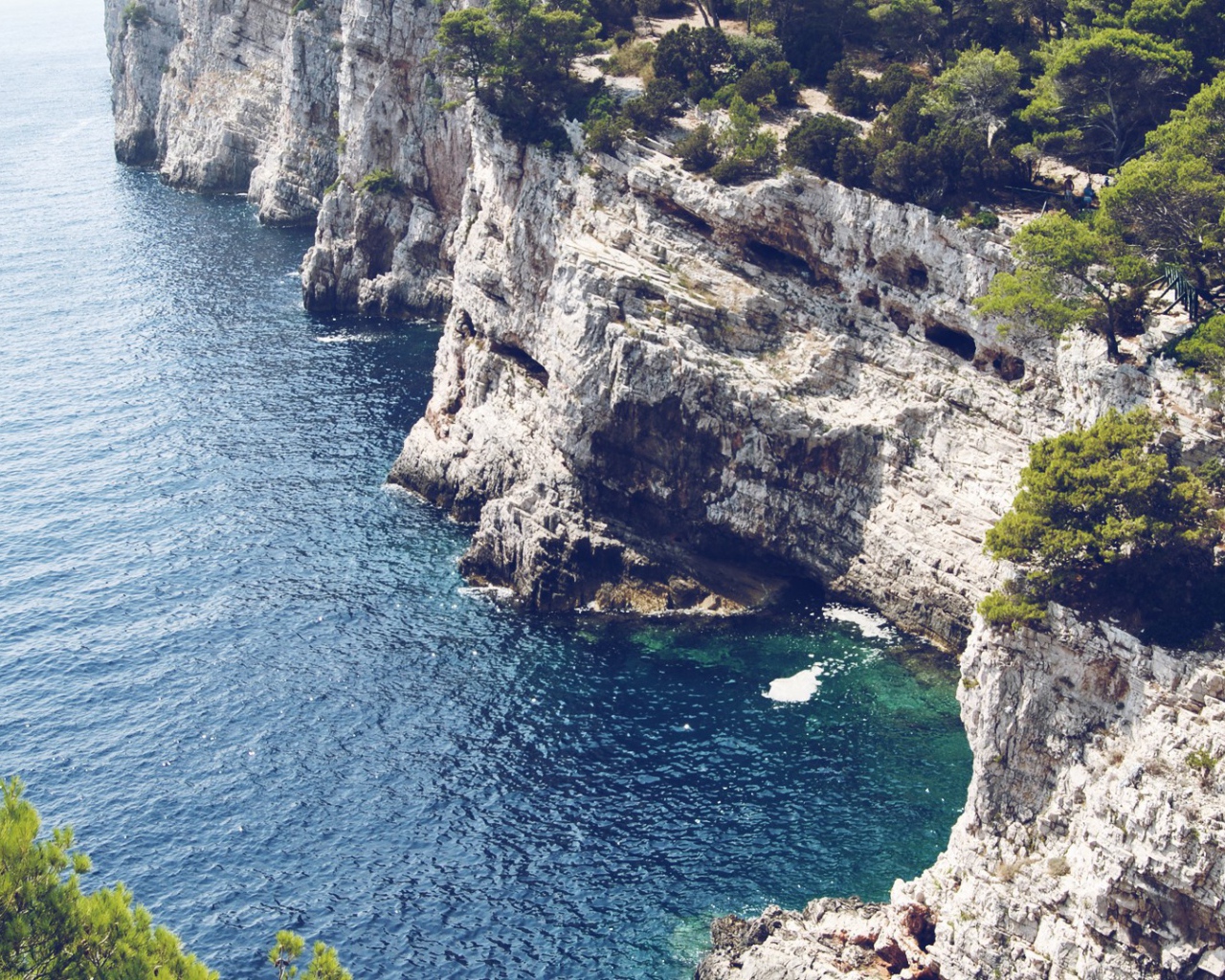 Обрывистый белый берег