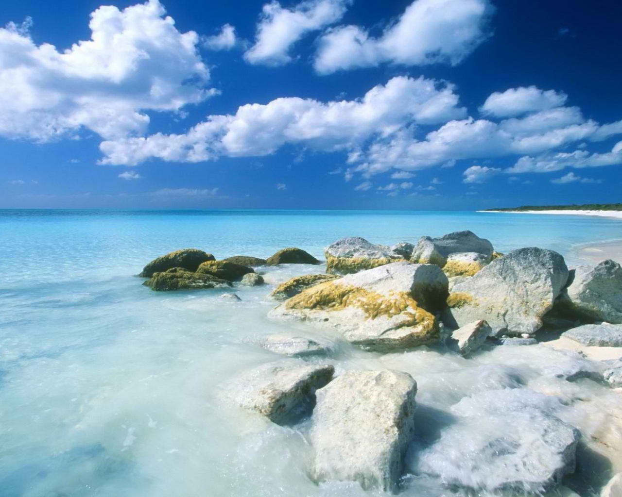 Каменистый берег и синее море