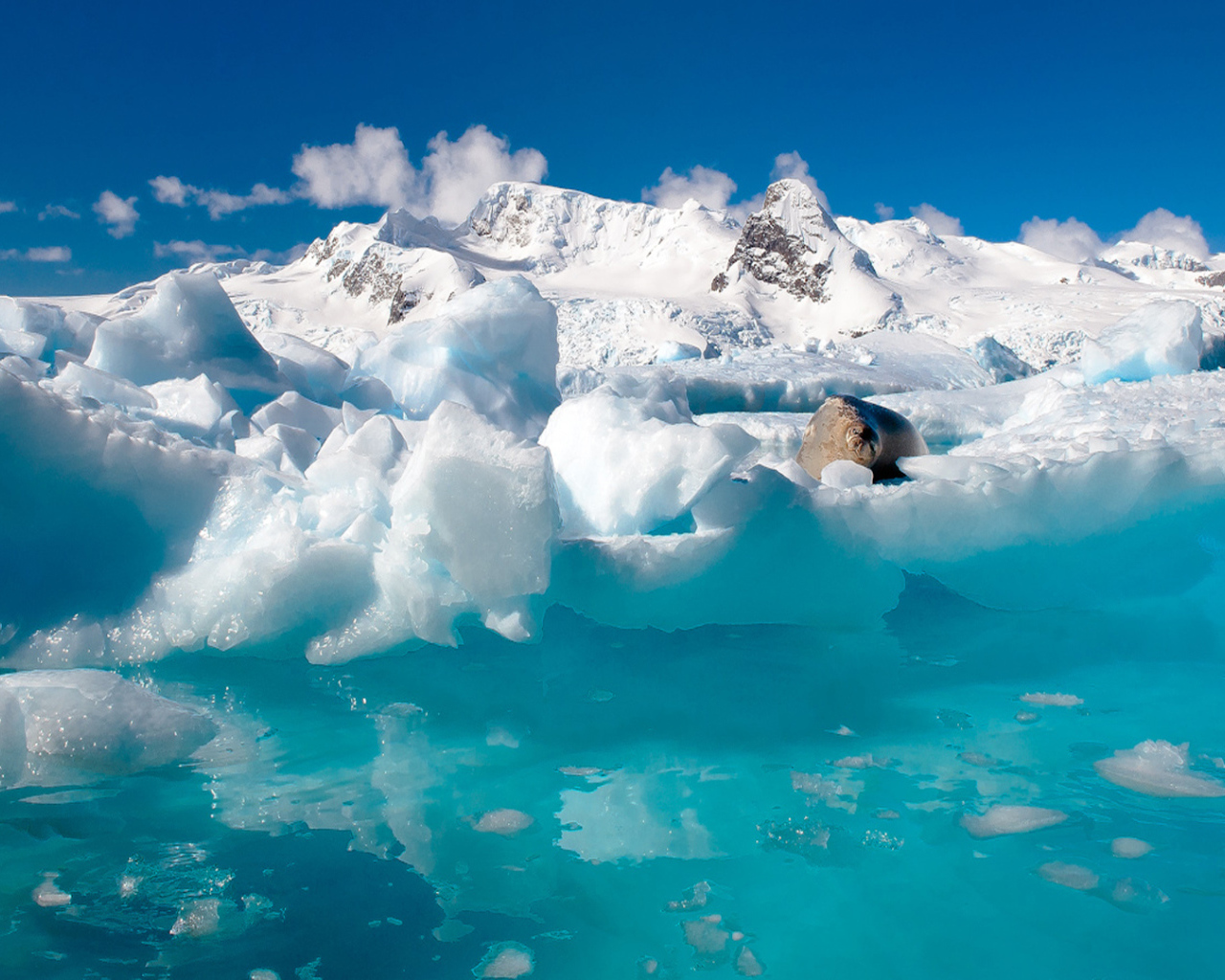 Вода и льды Антарктиды