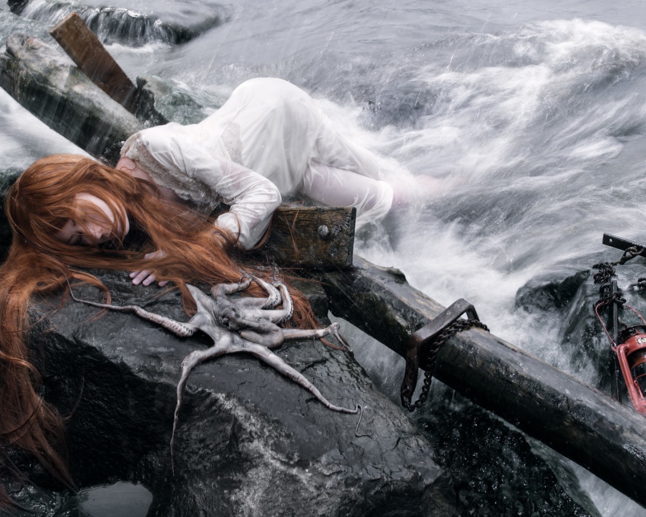 Выброшенные штормом