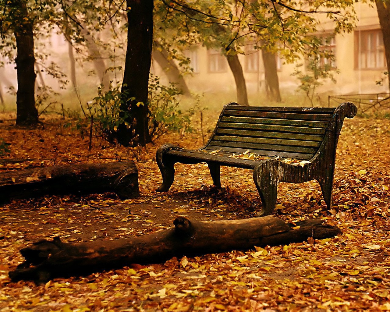Старая скамейка в осеннем парке