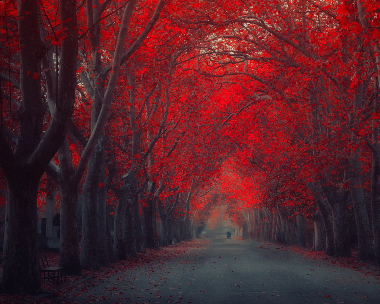 Красные осенние улицы