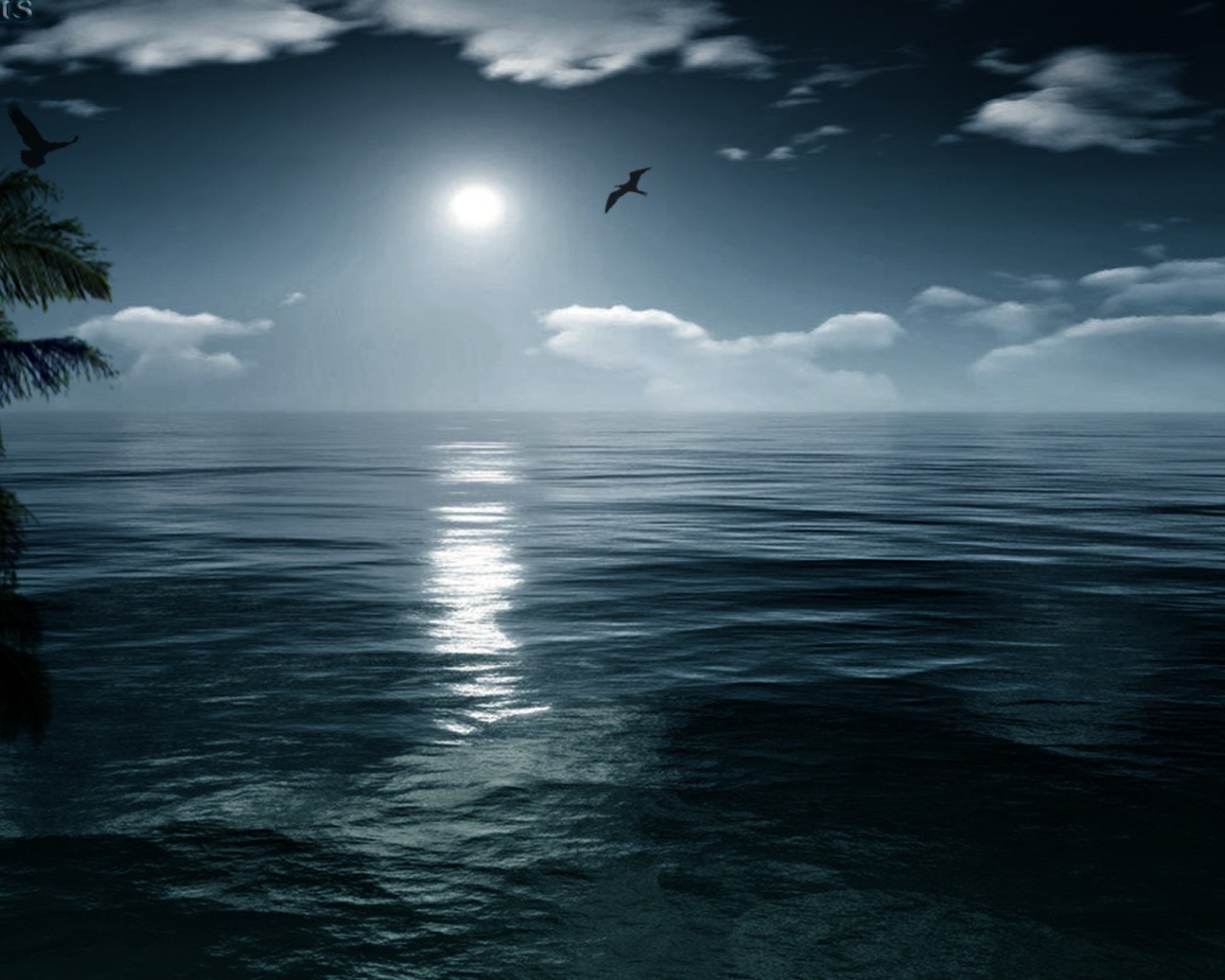 Птица летит на закате