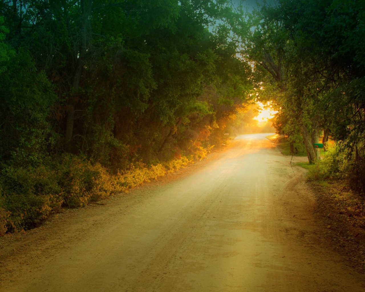 Солнце в дорожном просвете