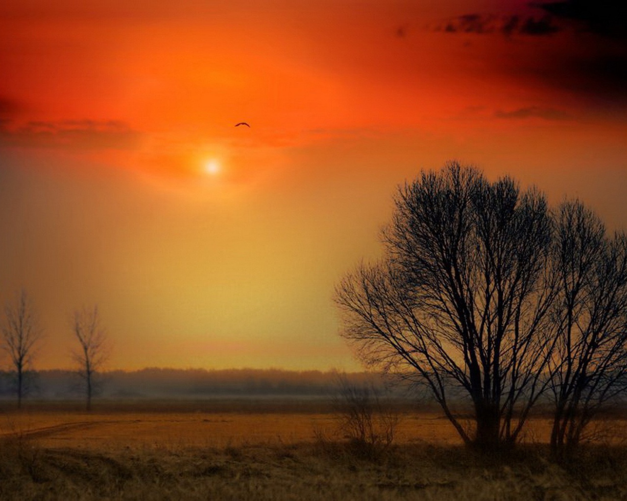 Красочный закат над полем