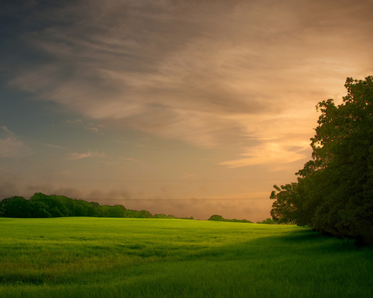 Закат на зеленом поле