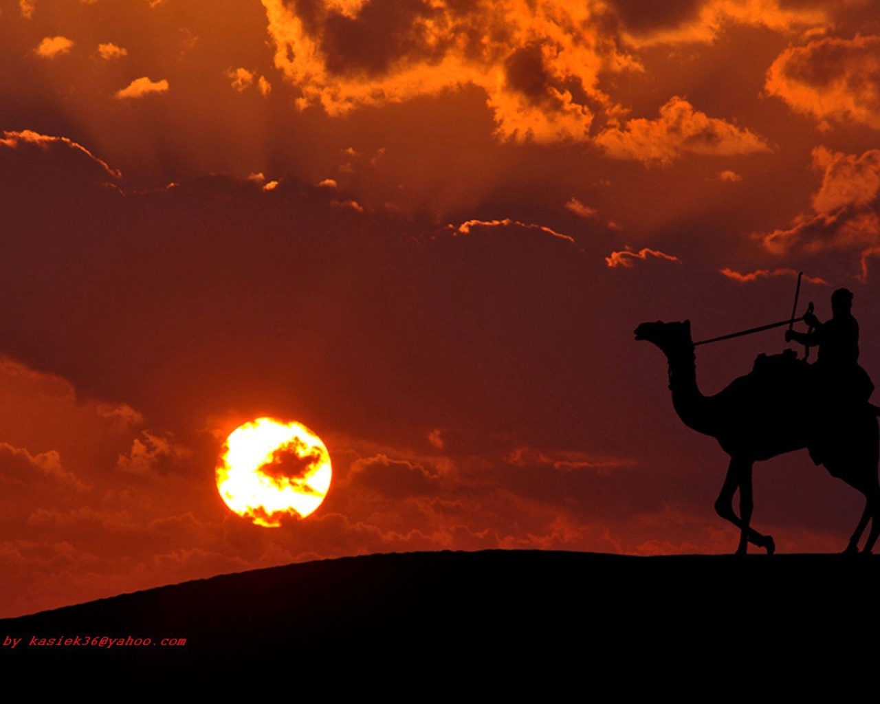 Наездник на верблюде