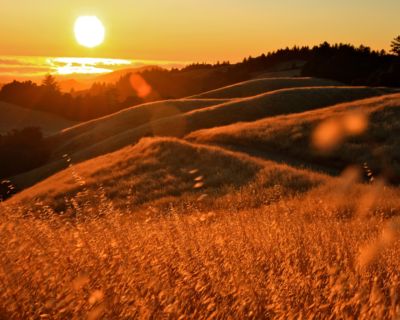 Закат в Калифорнии