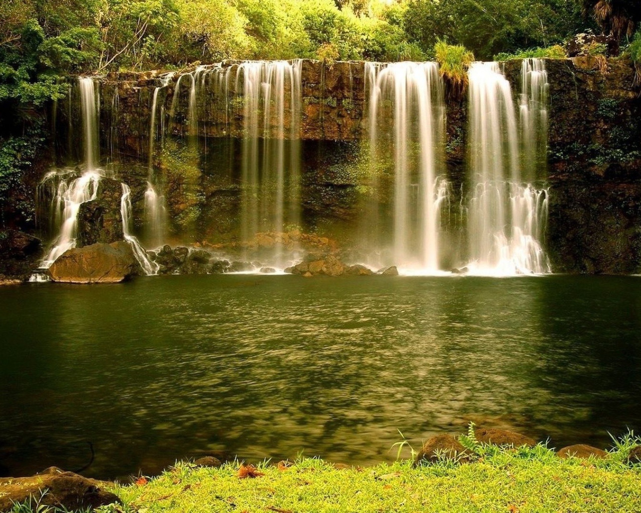 Золотисто зеленый водопад