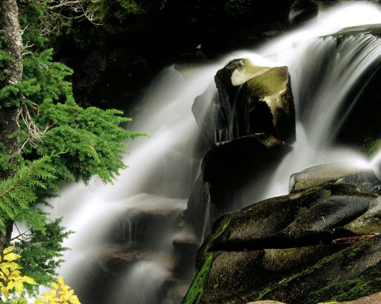 Водопад среди деревьев