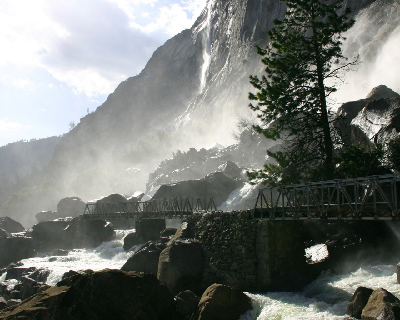 Одинокая сосна у водопада