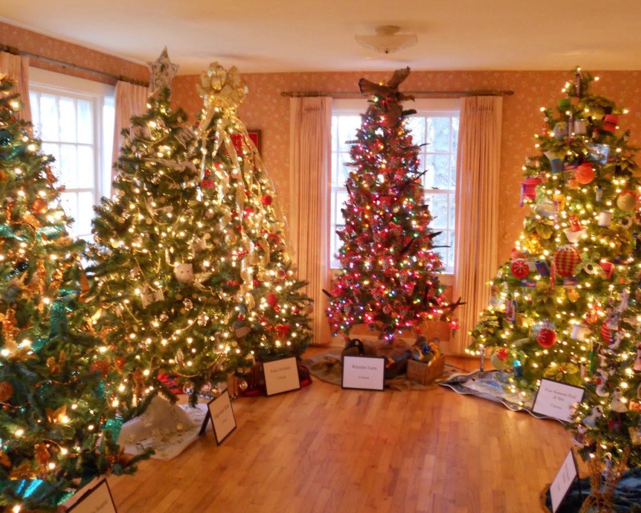 Много новогодних елок