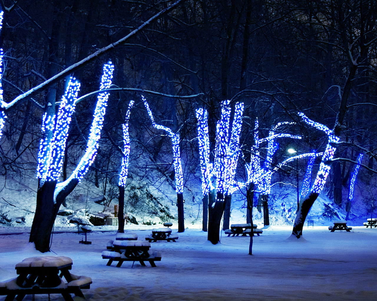 Синяя гирлянда