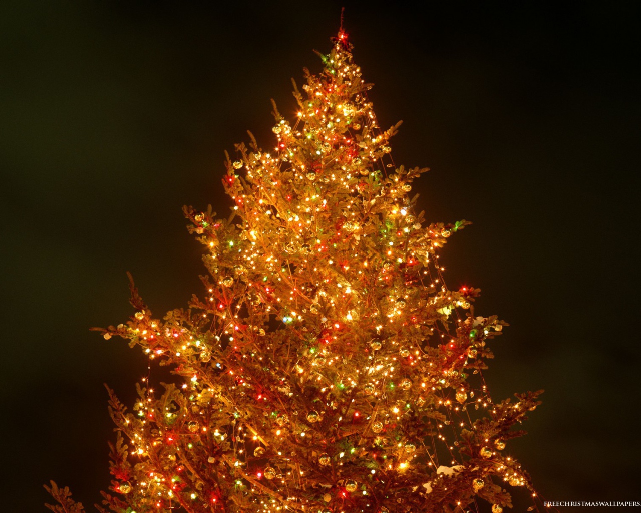 Яркая Новогодняя елка