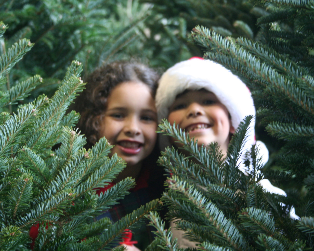 Дети у новогодней елки 2014