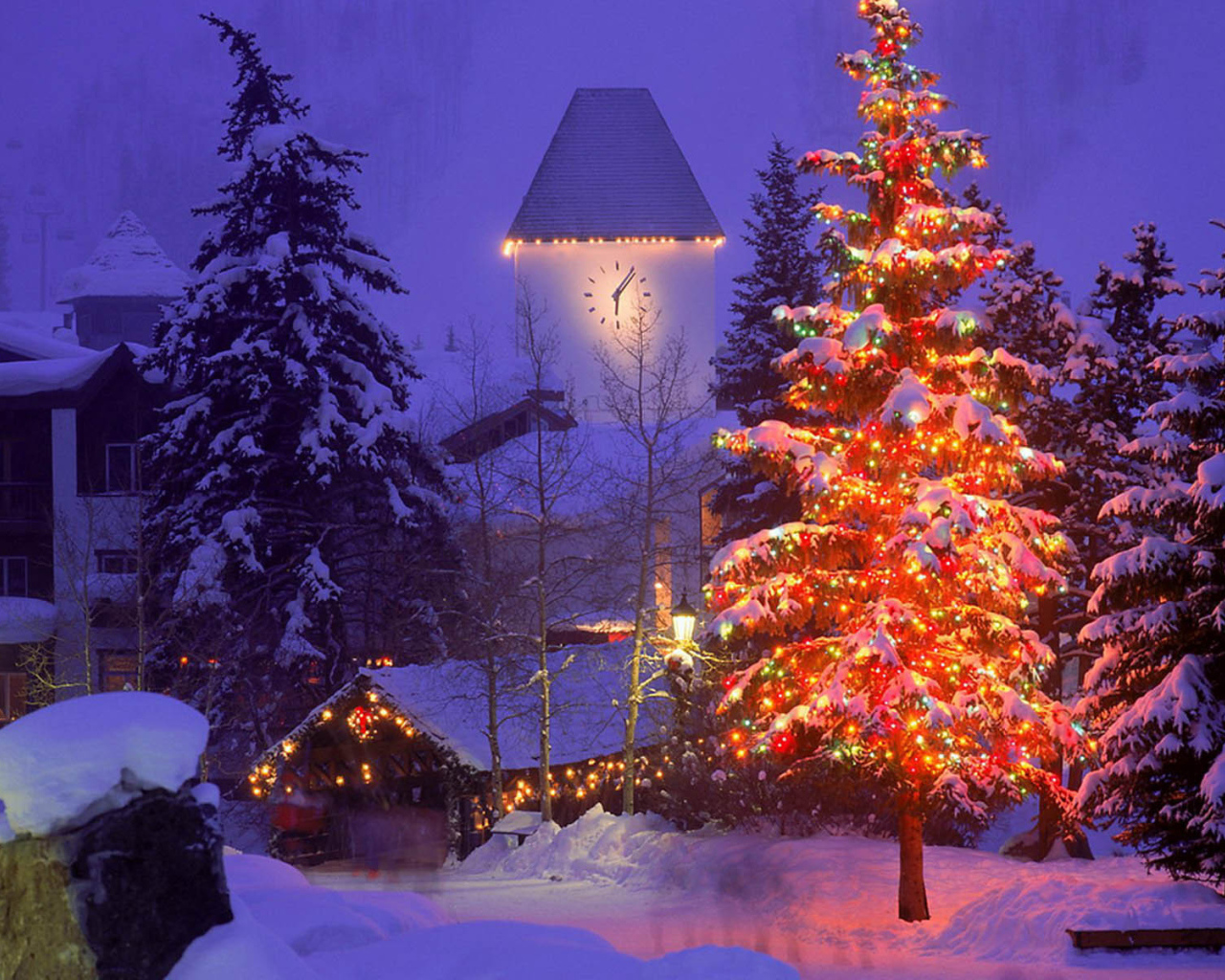 Елка на Новый Год 2014