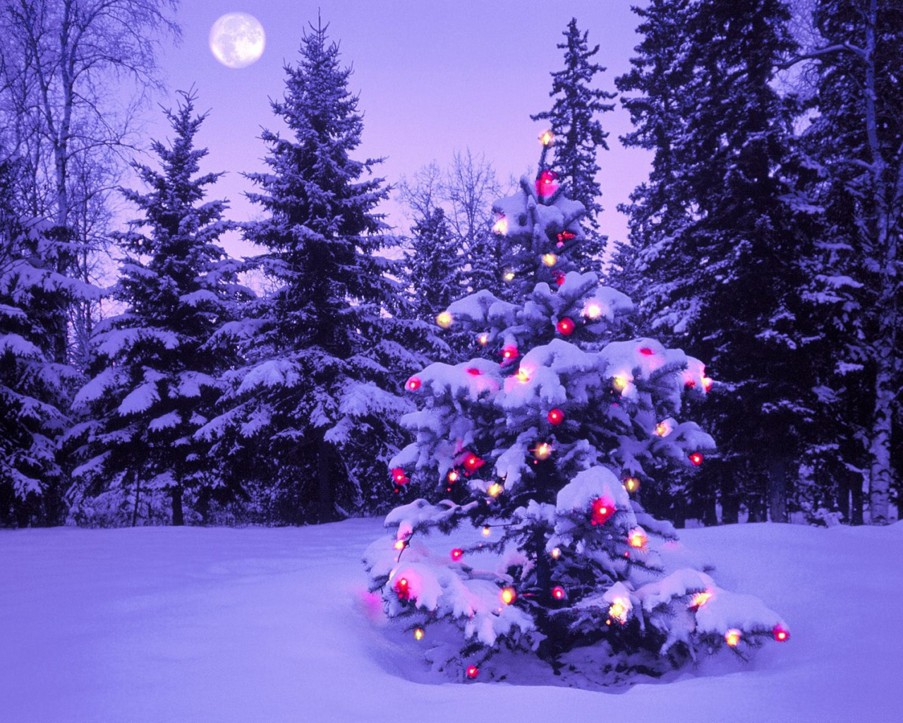 Елка на Новый Год в полнолуние