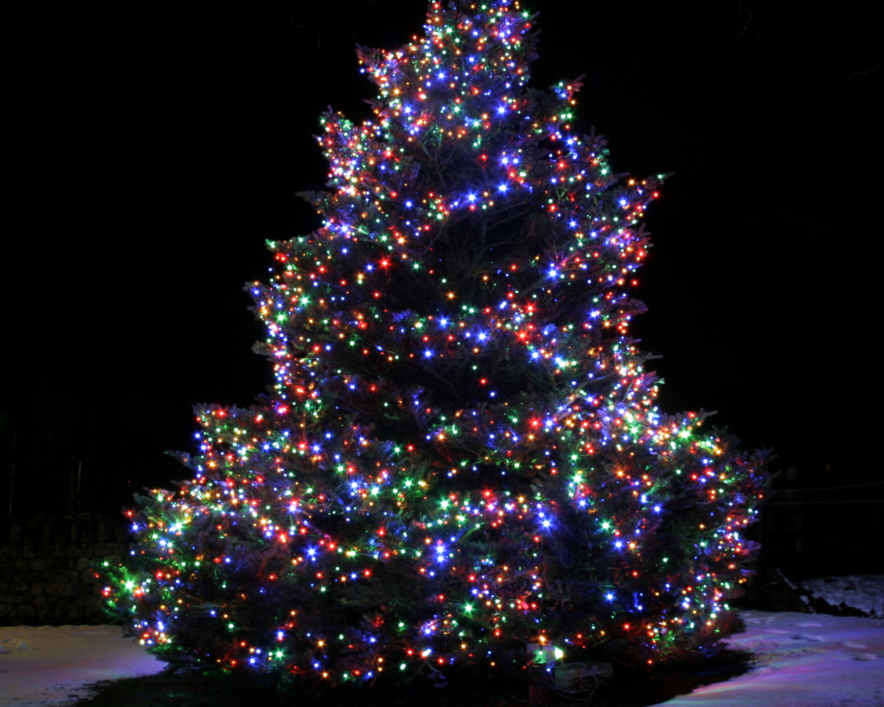 Красочная Новогодняя елка