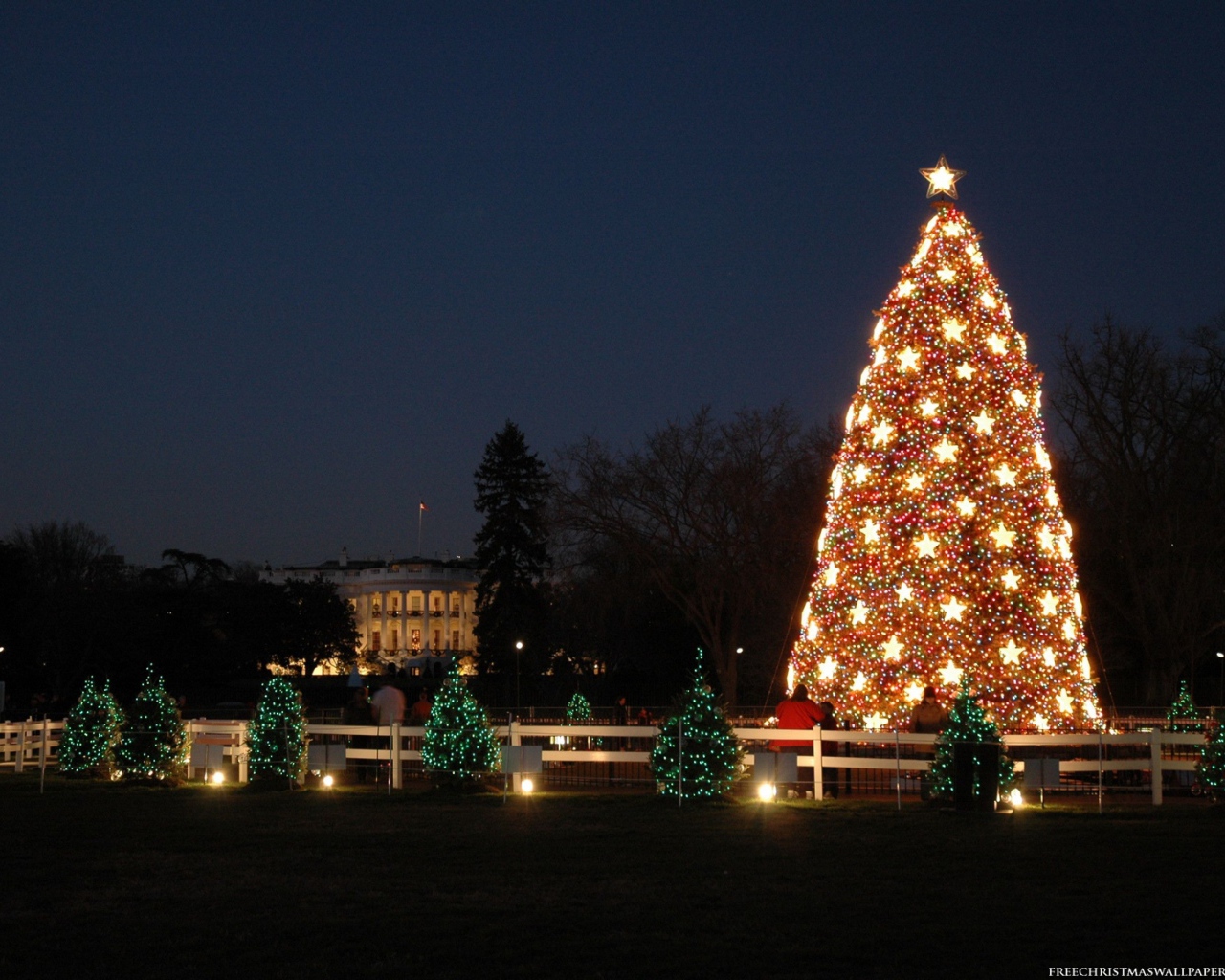 Национальная Новогодняя елка в год лошади 2014