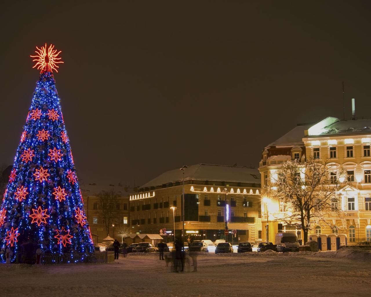 Елка на Новый Год лошади в Вильнюсе