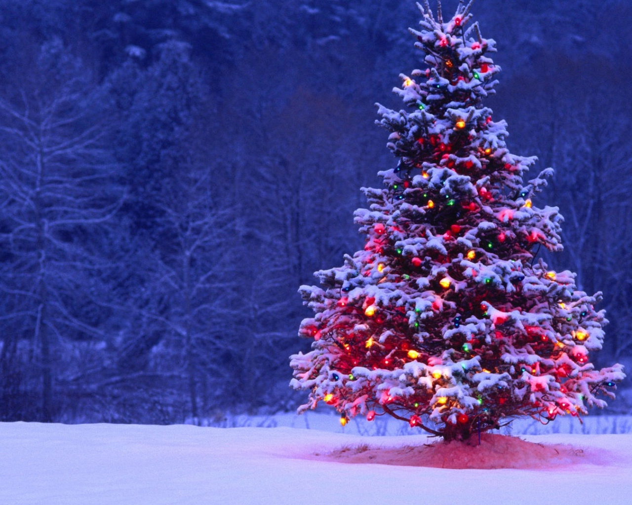 Новогодняя елка 2014 в год лошади