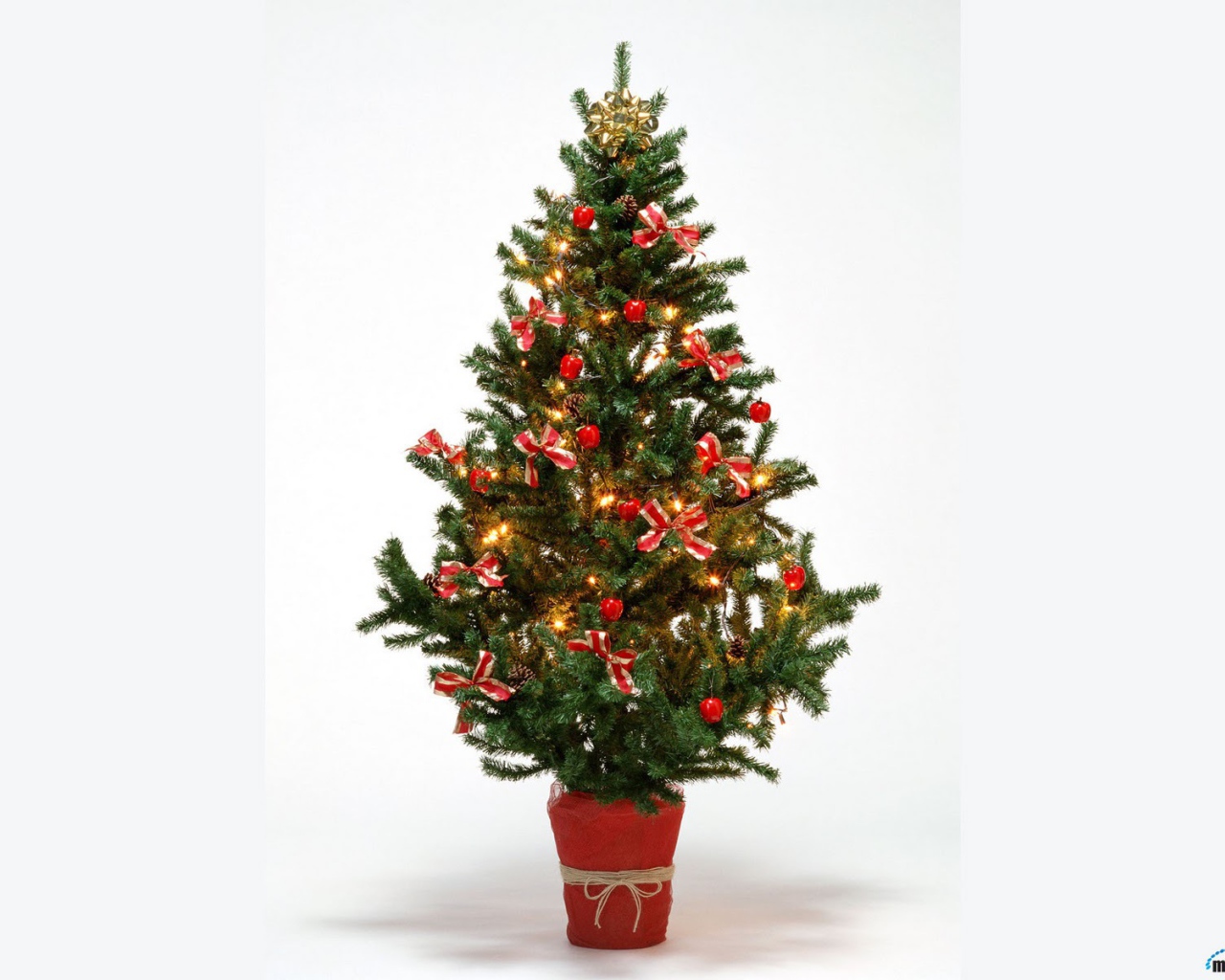 Новогодняя елка 2014 на белом фоне