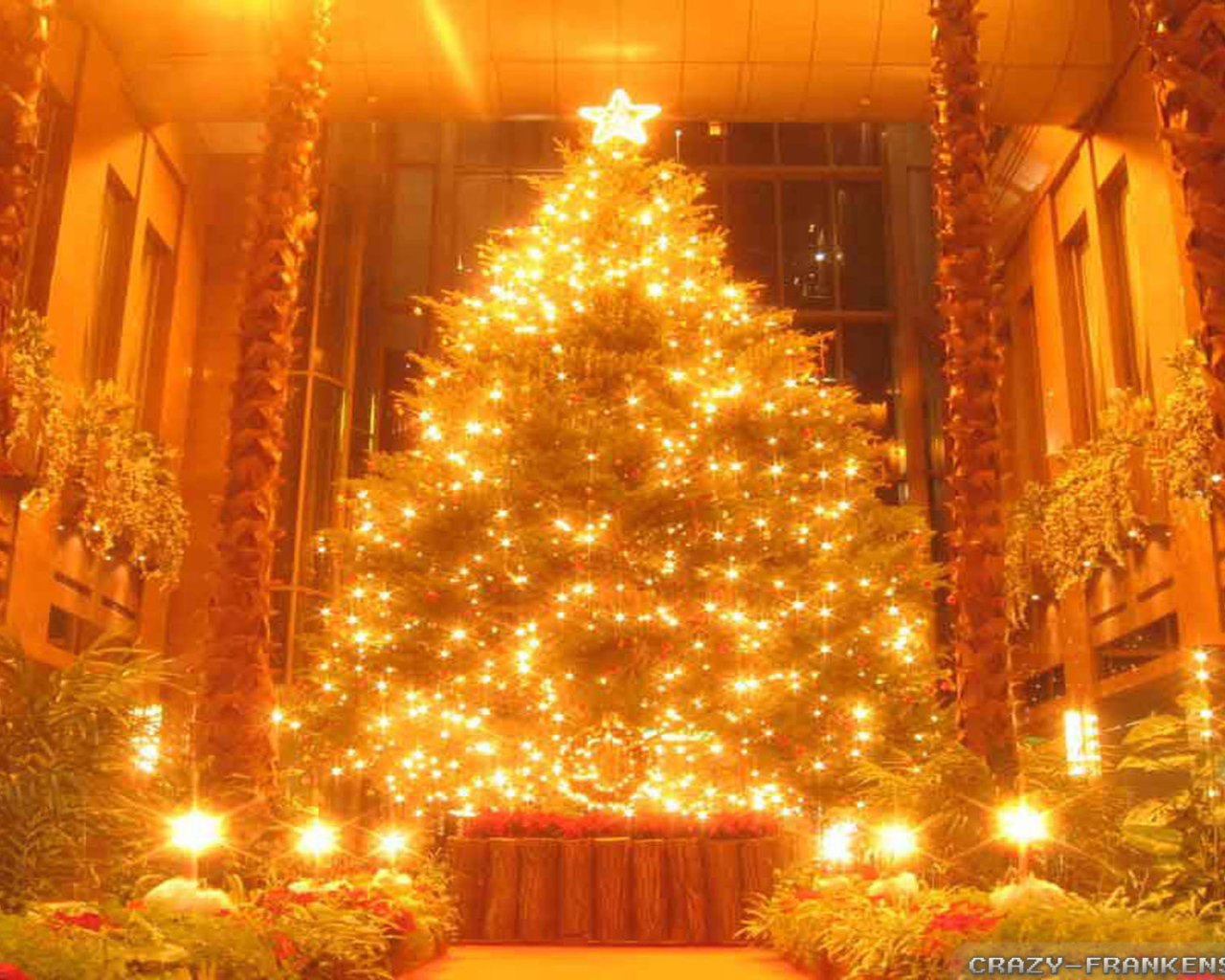 Новогодняя елка в поразительной картине