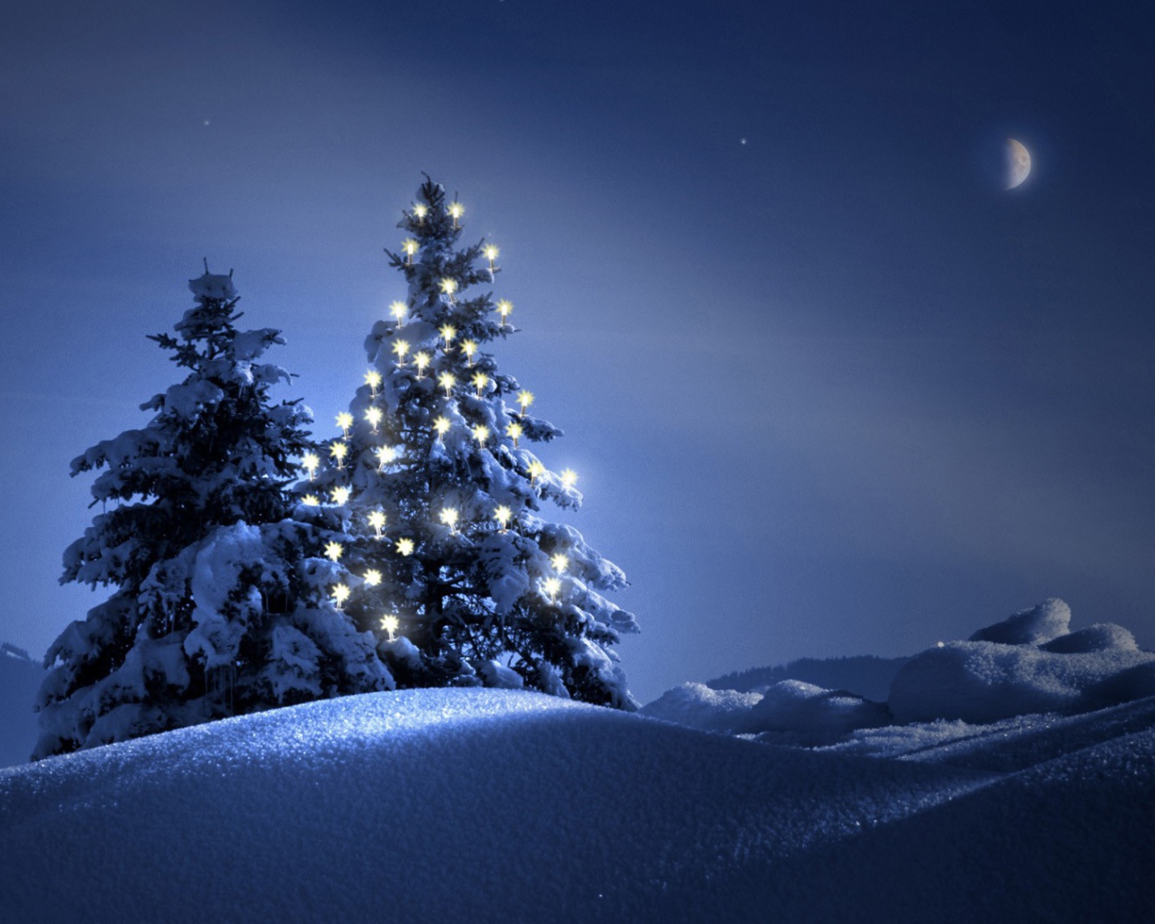 Новогодняя елка в ночи