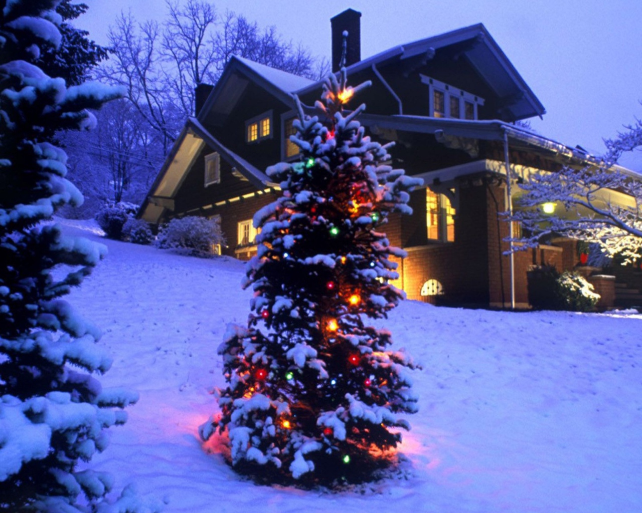 Новогодняя елка в зимнем лесу