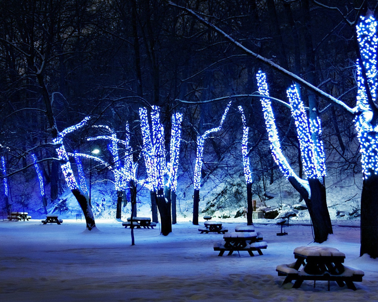 Новогодняя елка в зимнем парке