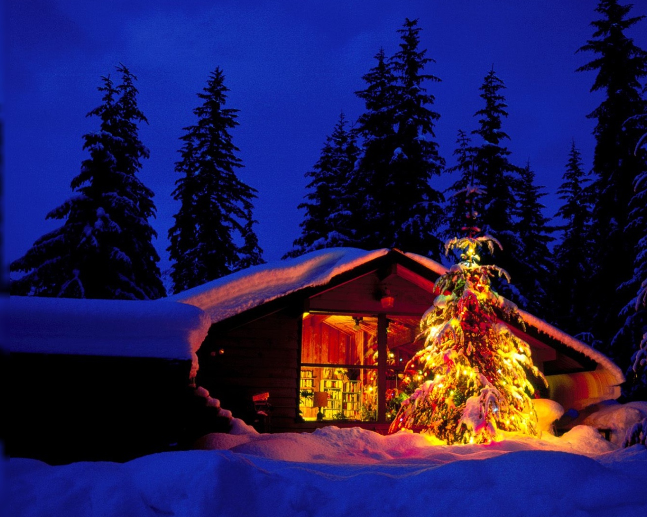 Новогодняя елка возле лесной хижины