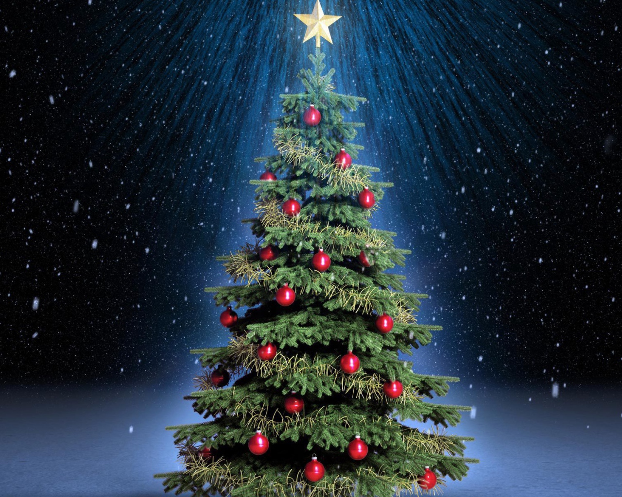 Новогодняя елка под светом звезды