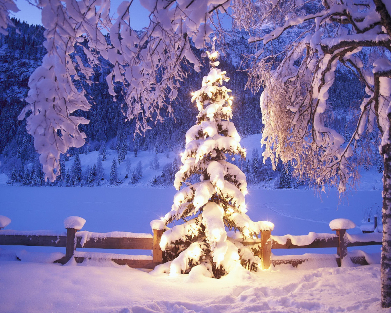 Новогодняя елка под снегом