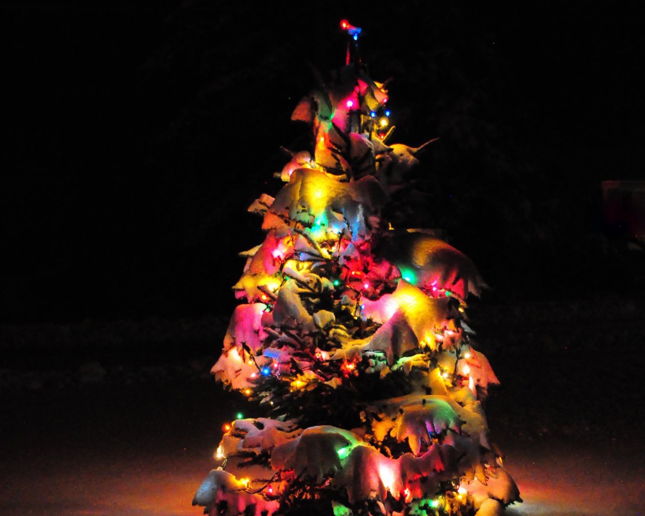 Наша маленькая Новогодняя елка