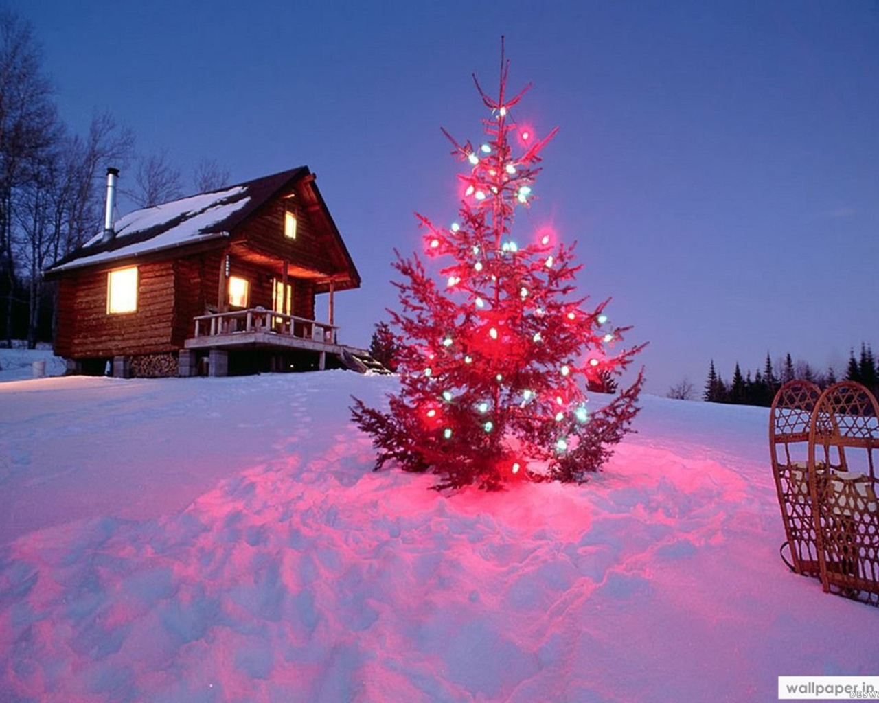 Колючии иголки на новогодней елке