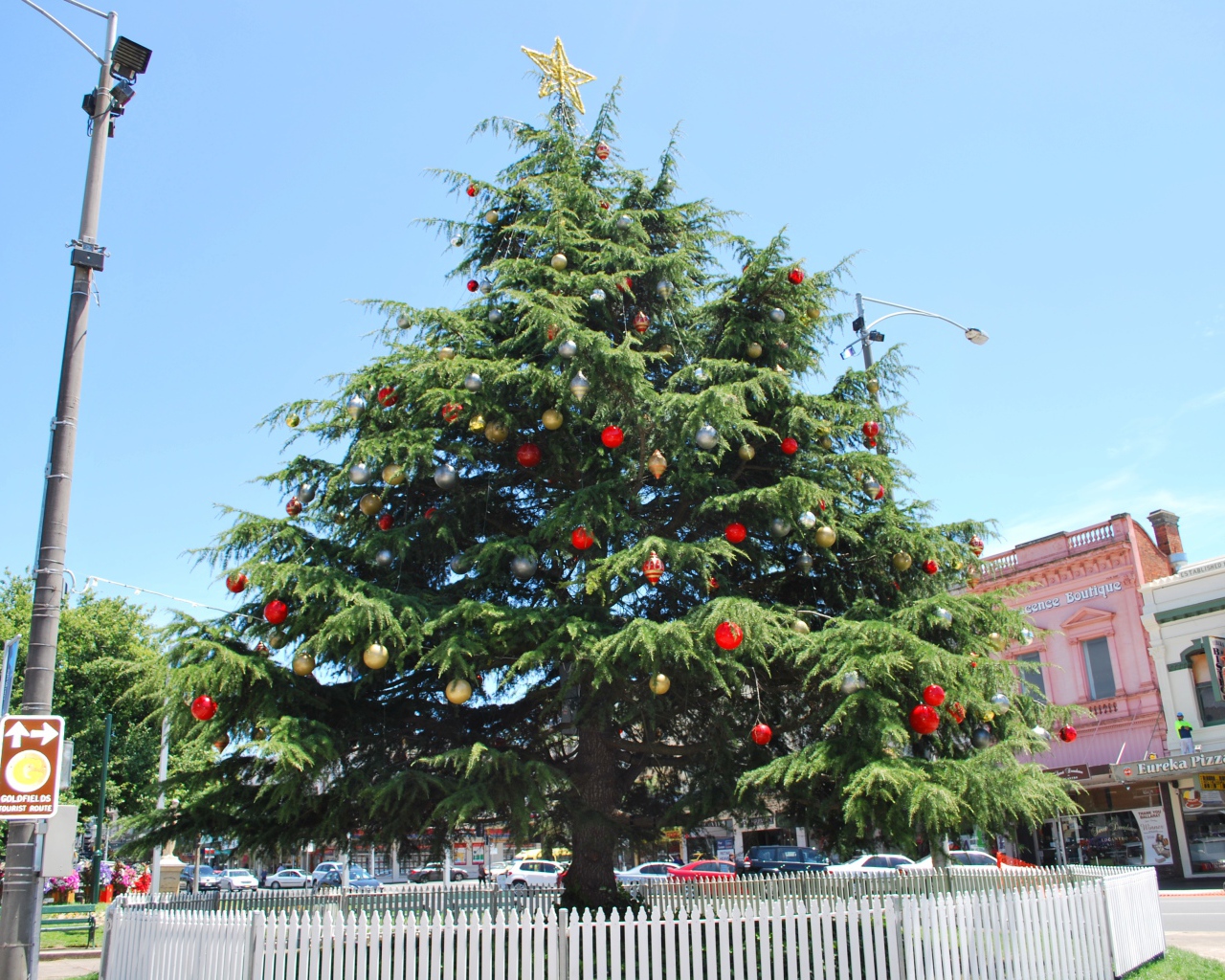 Красивая Новогодняя елка в жаркой стране