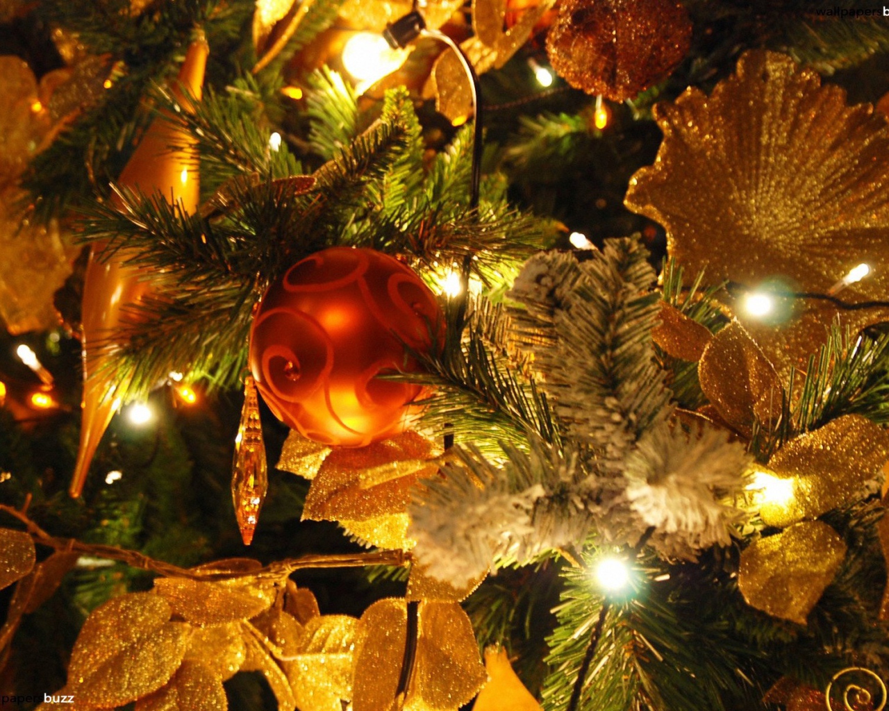 расивая Новогодняя елка с небольшой красный игрушкой