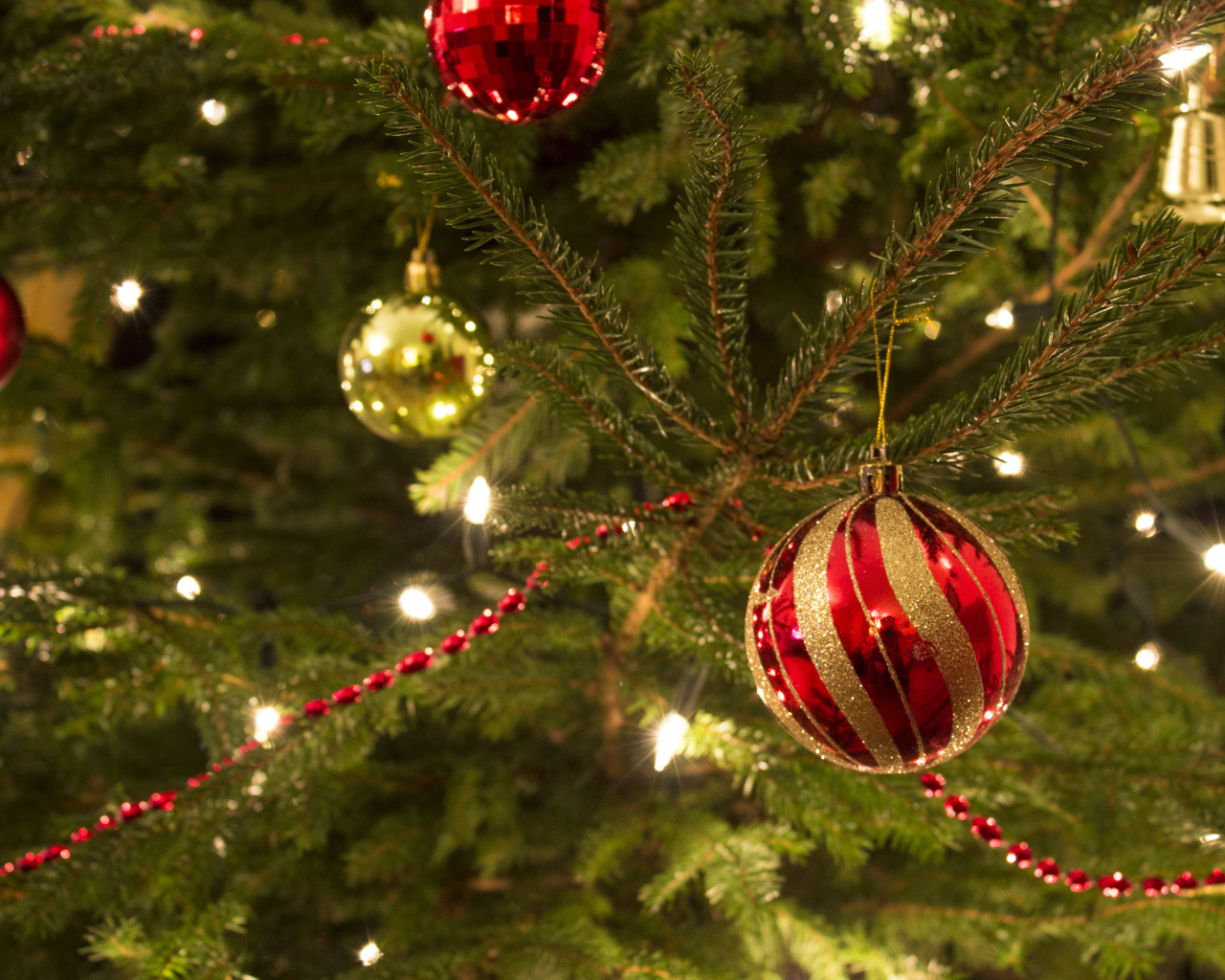 Красная игрушка на новогодней елкe