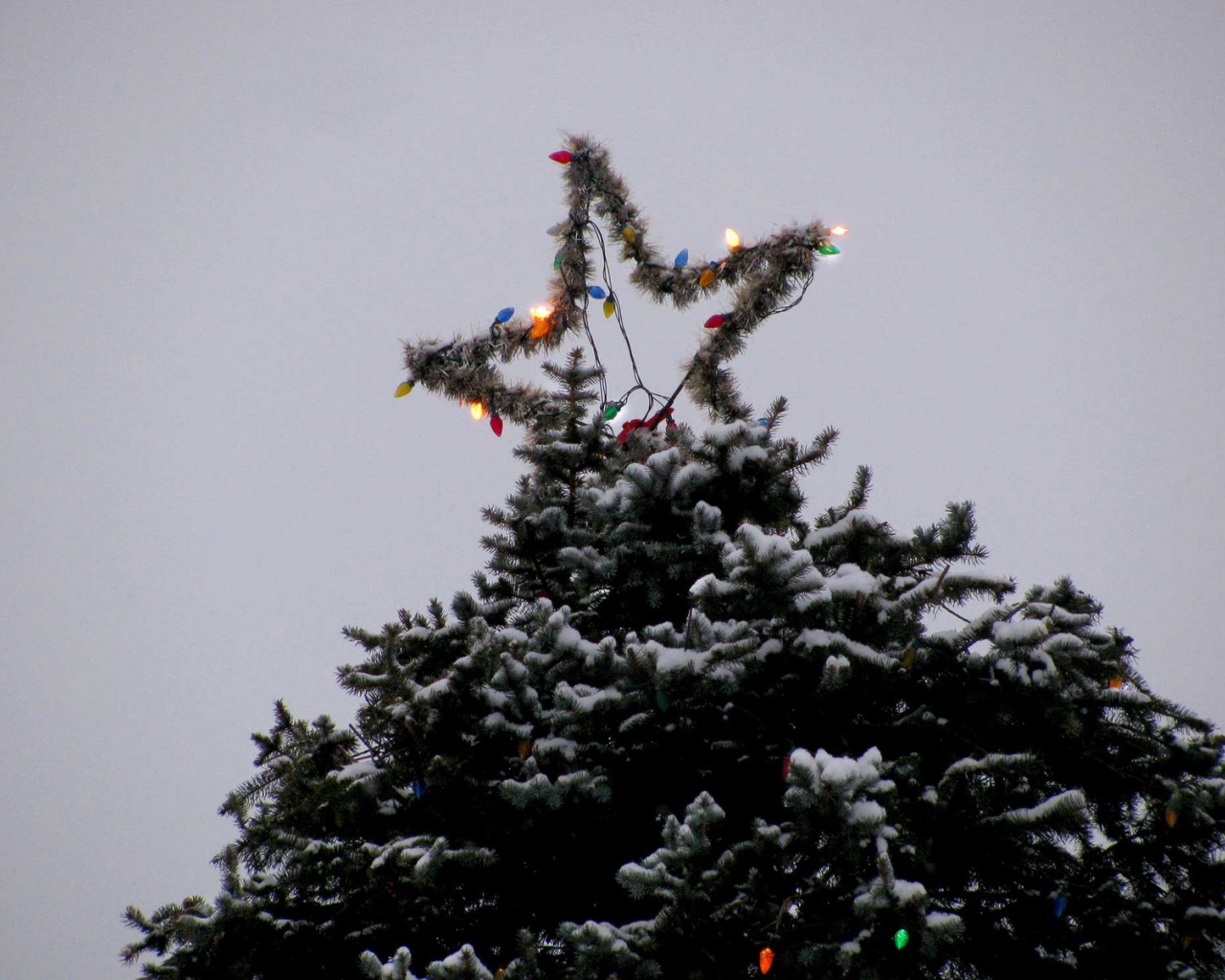 Звезда новогодней елки