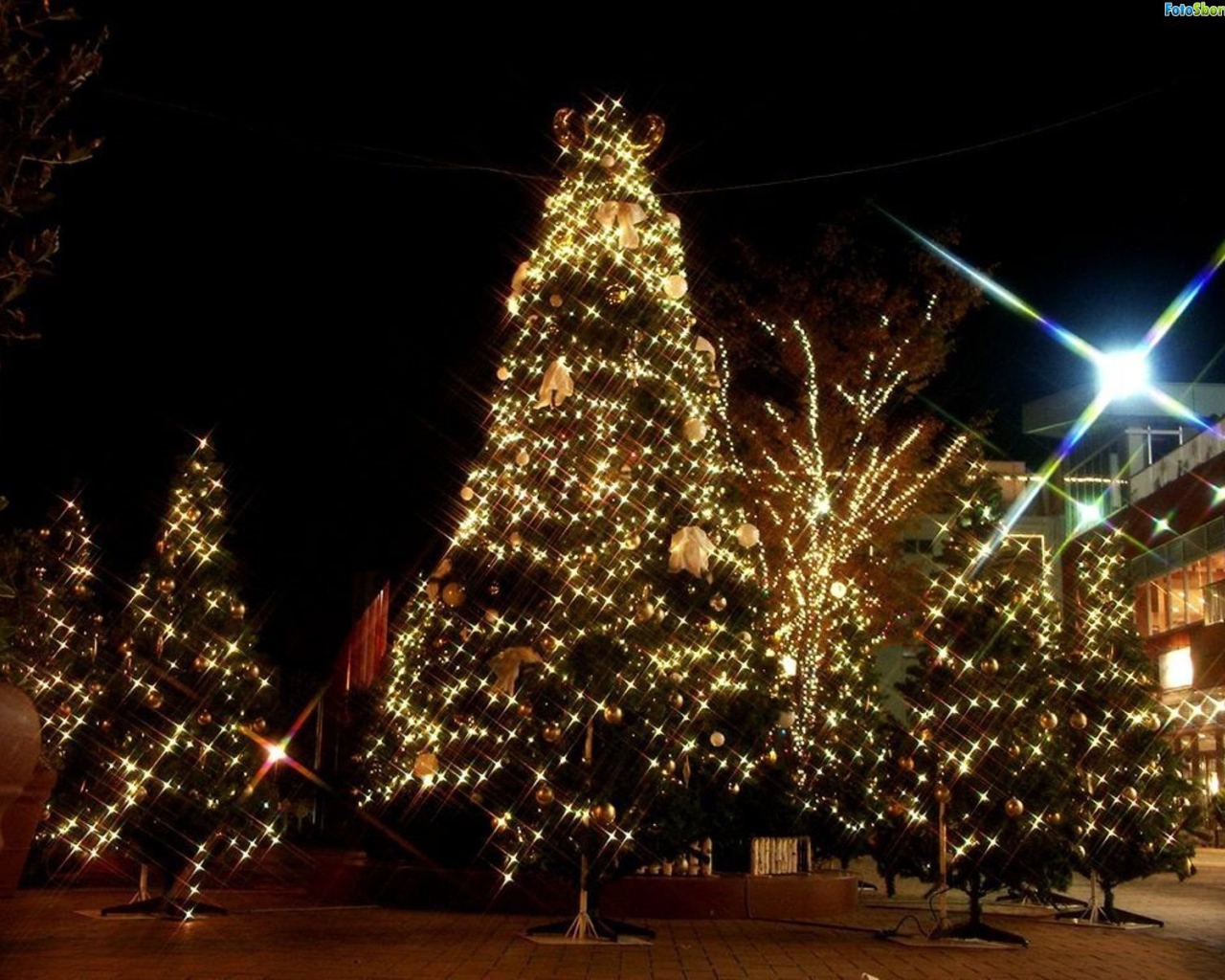 Large Christmas decorations on a Christmas tree