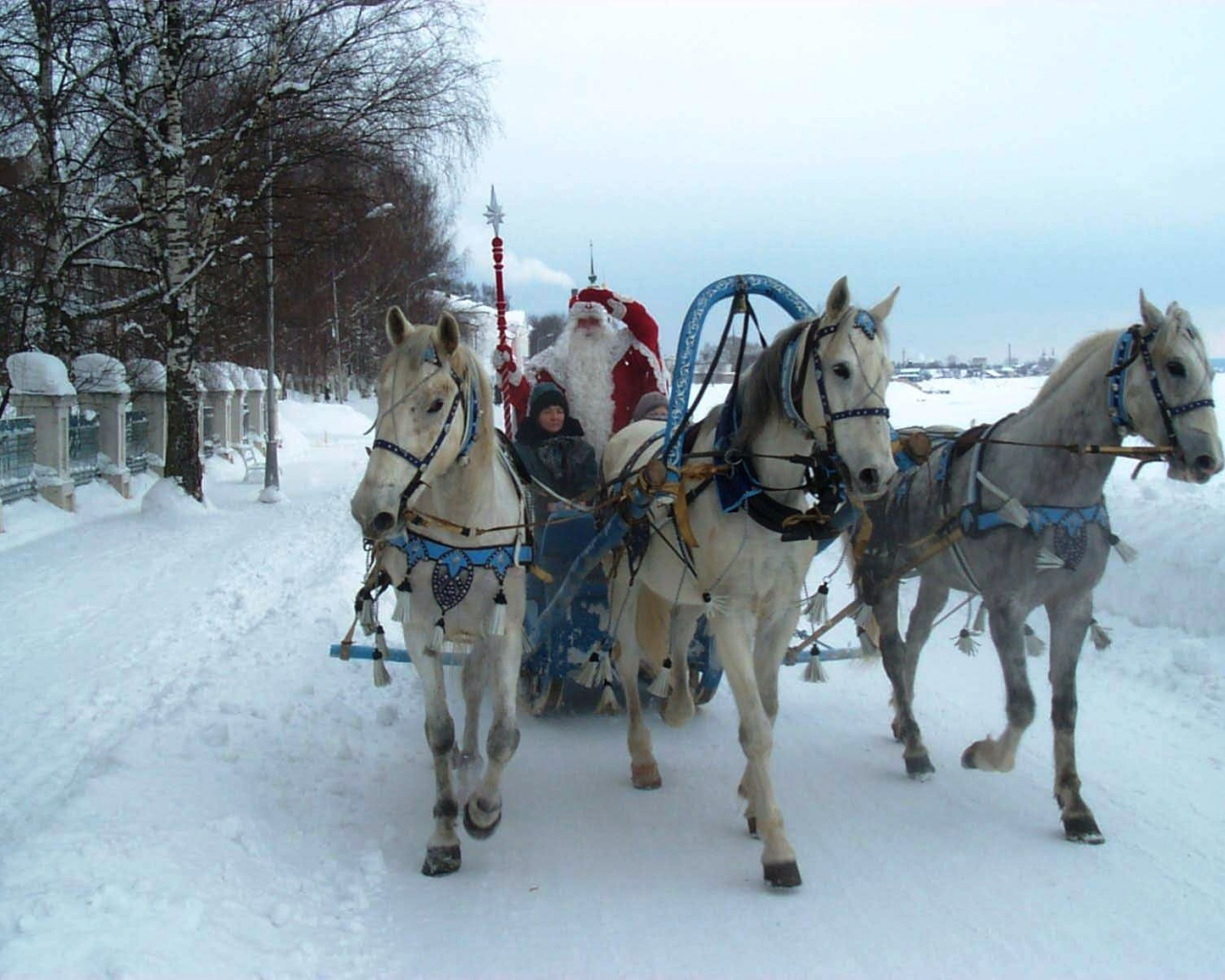 Pодина деда мороза