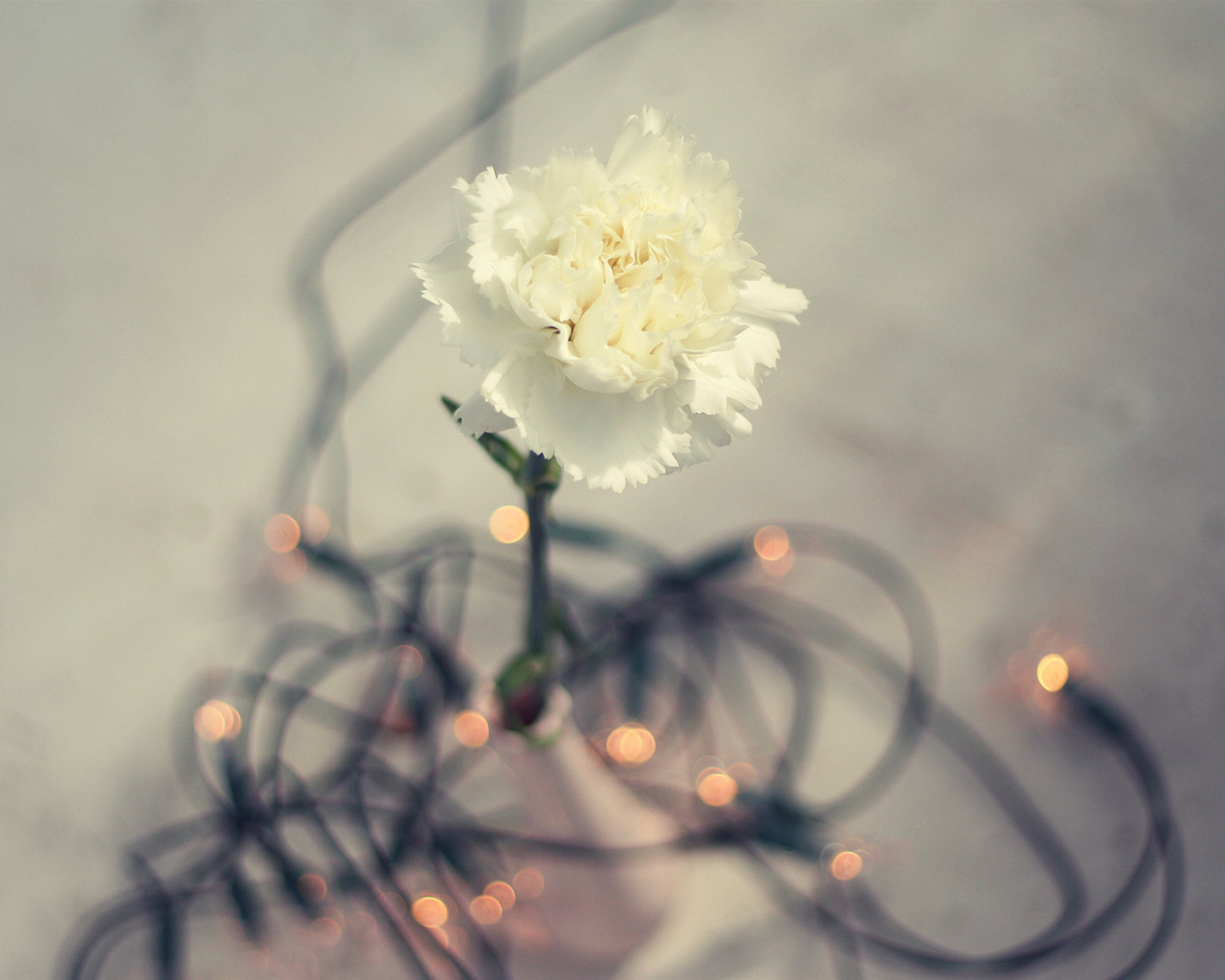 Цветок гирлянда