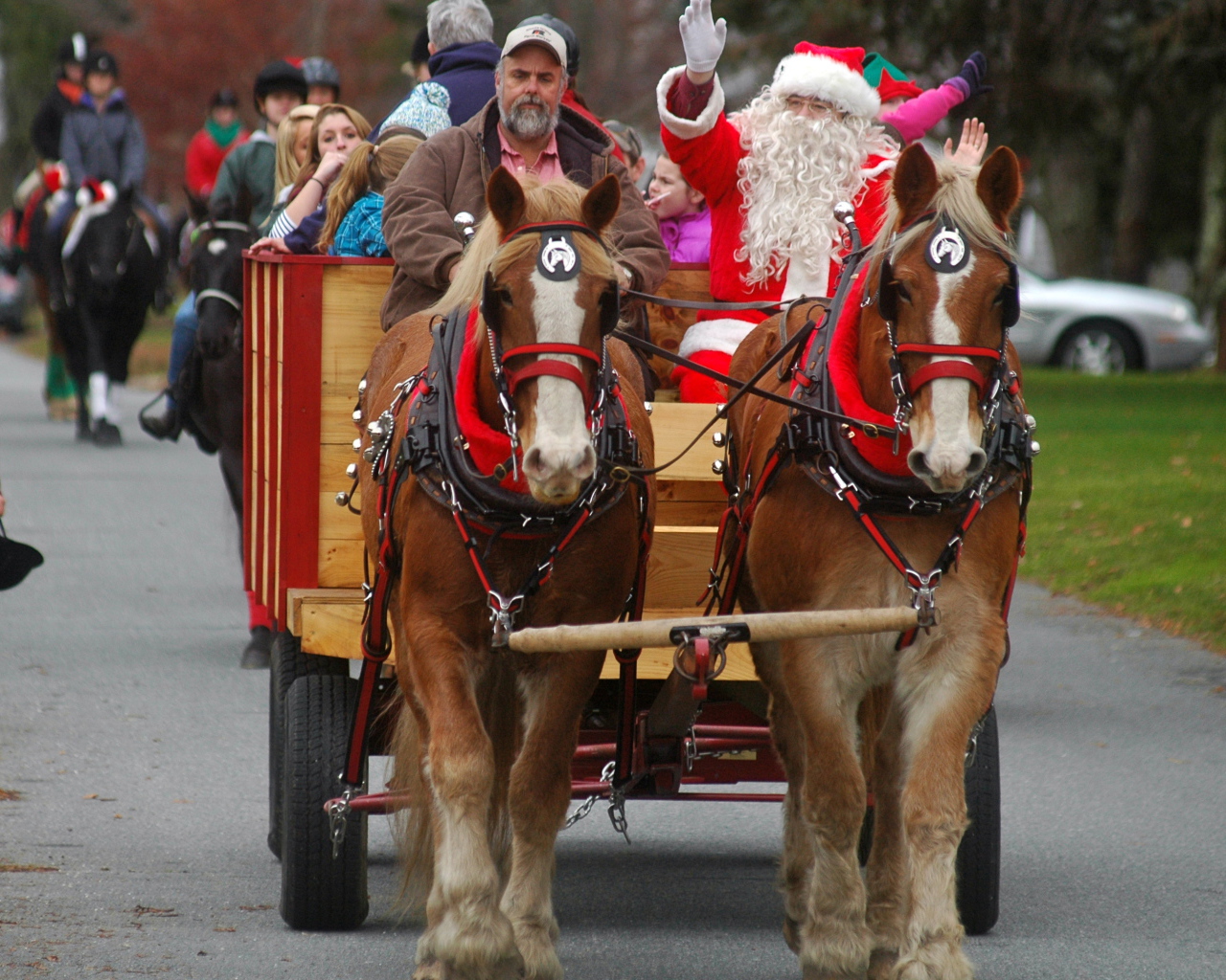 Дед мороз на лошади