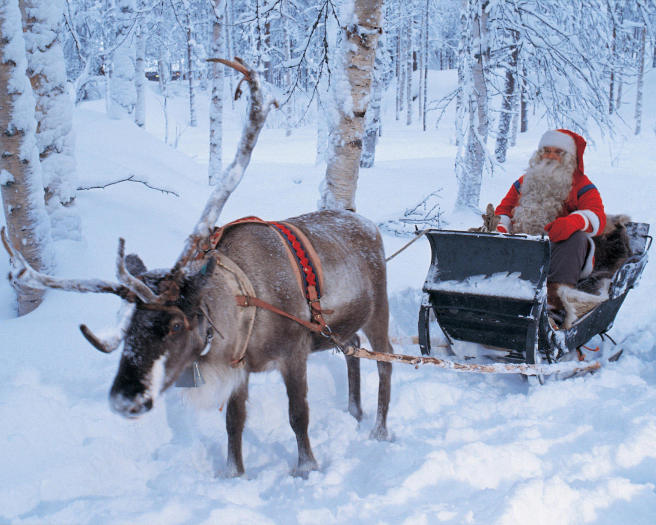 Дед мороз на санях