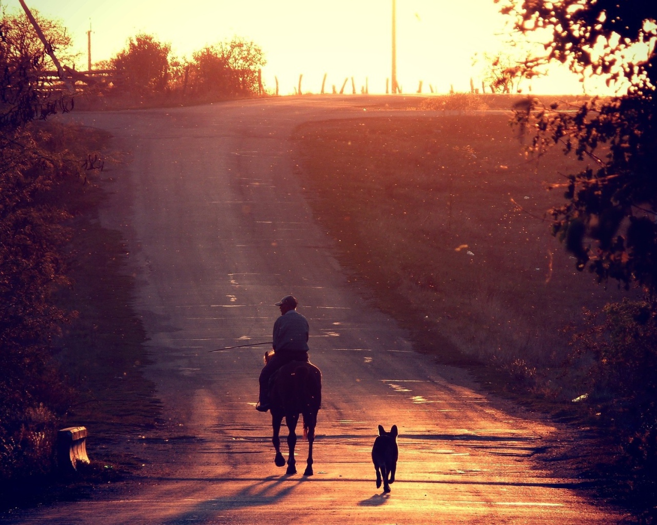 Всадник и собака на прогулке